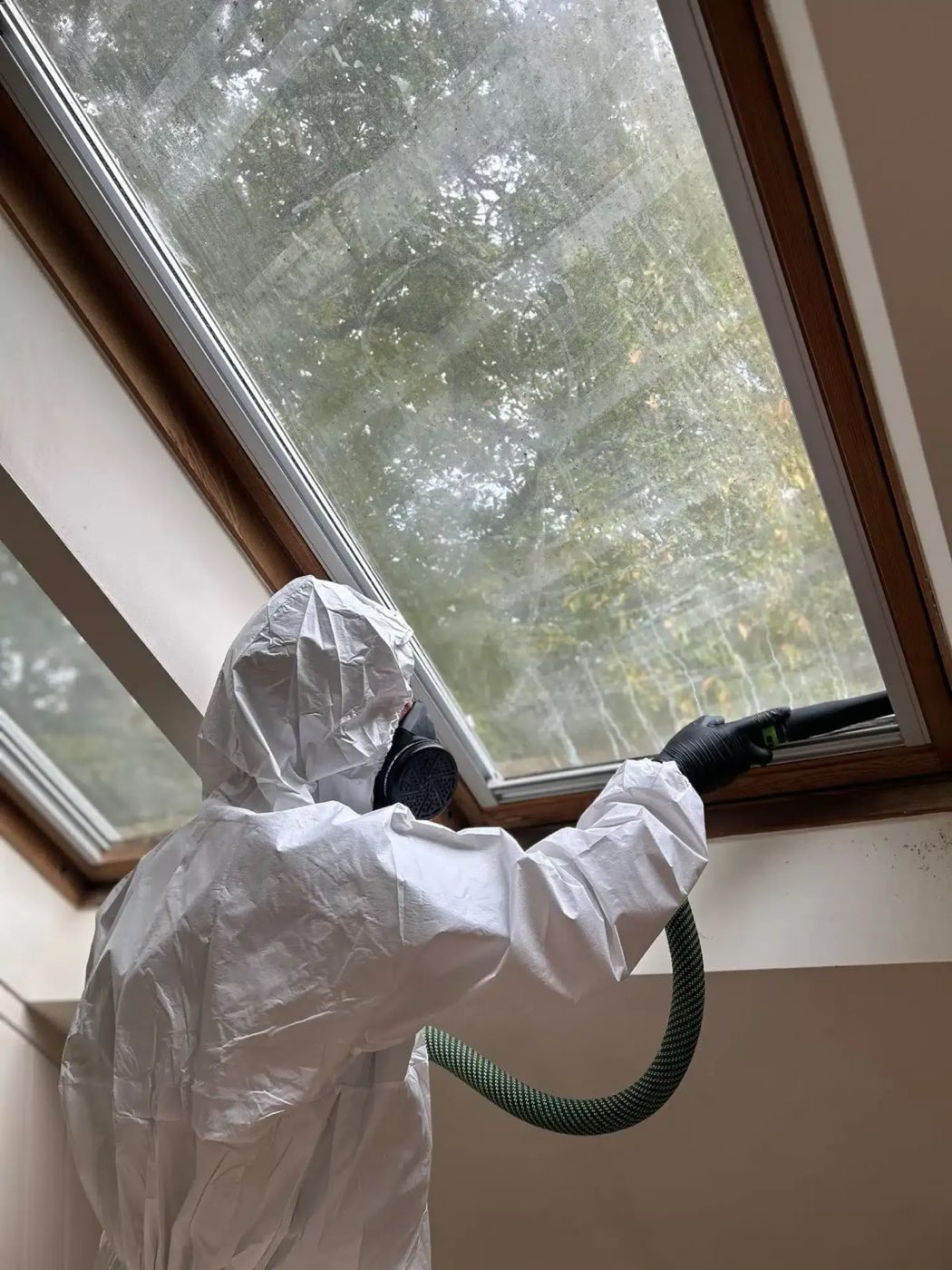 Professional carrying out mould remediation work in full PPE