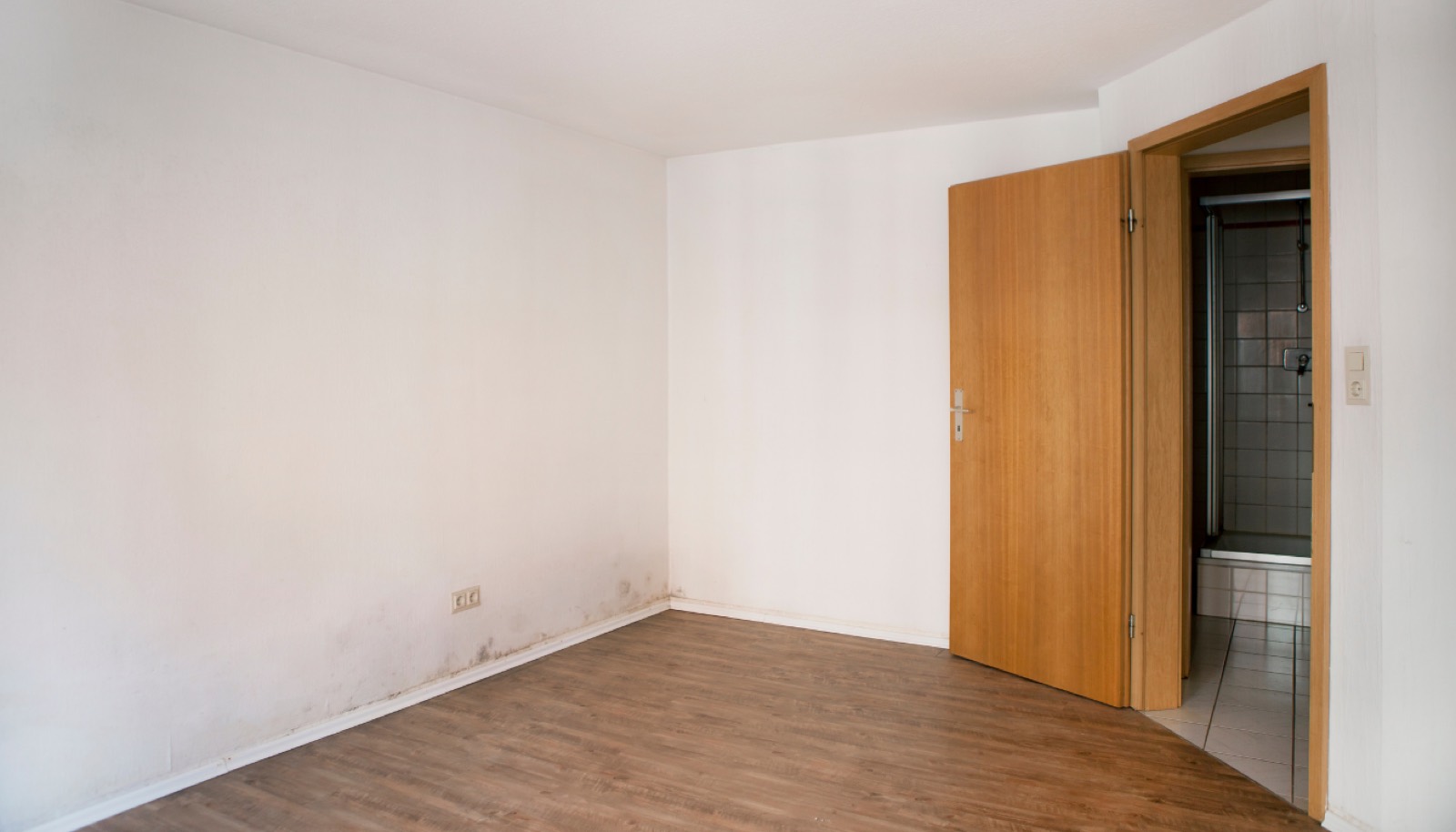 Mould awareness training: surface mould growth on an interior wall
